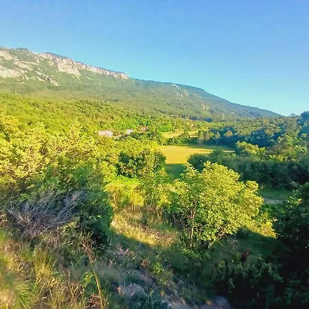 Vedran Polje Cepic