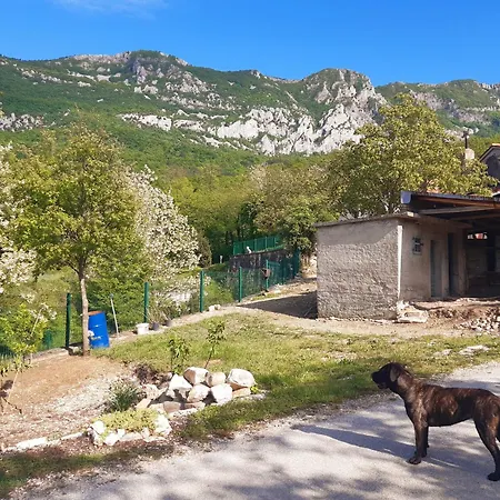 Vedran * Polje Cepic