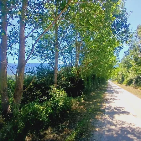 Vedran Apartmán